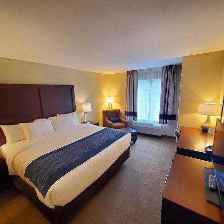 Comfort Inn & Suites Munising-Lakefront Extérieur photo