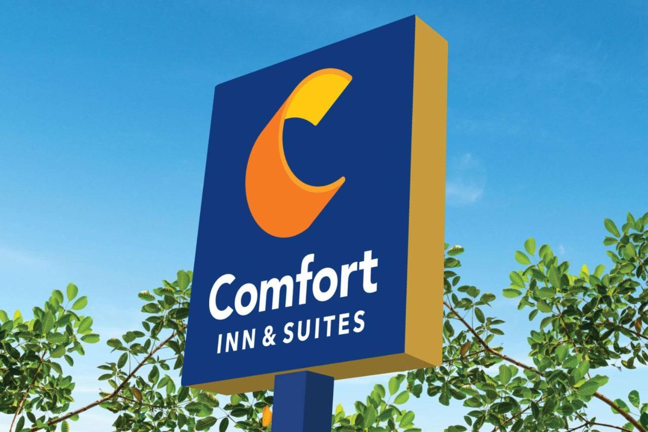 Comfort Inn & Suites Munising-Lakefront Extérieur photo